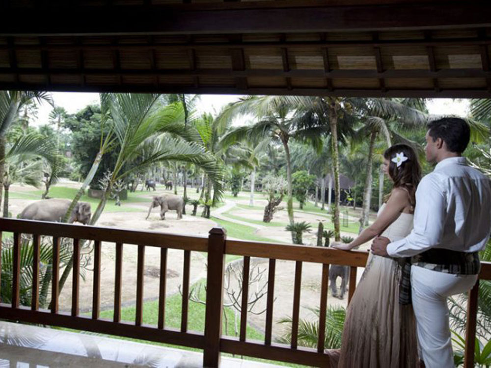 Wedding at The Elephant Safari Park Bali