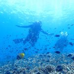 best bali diving location